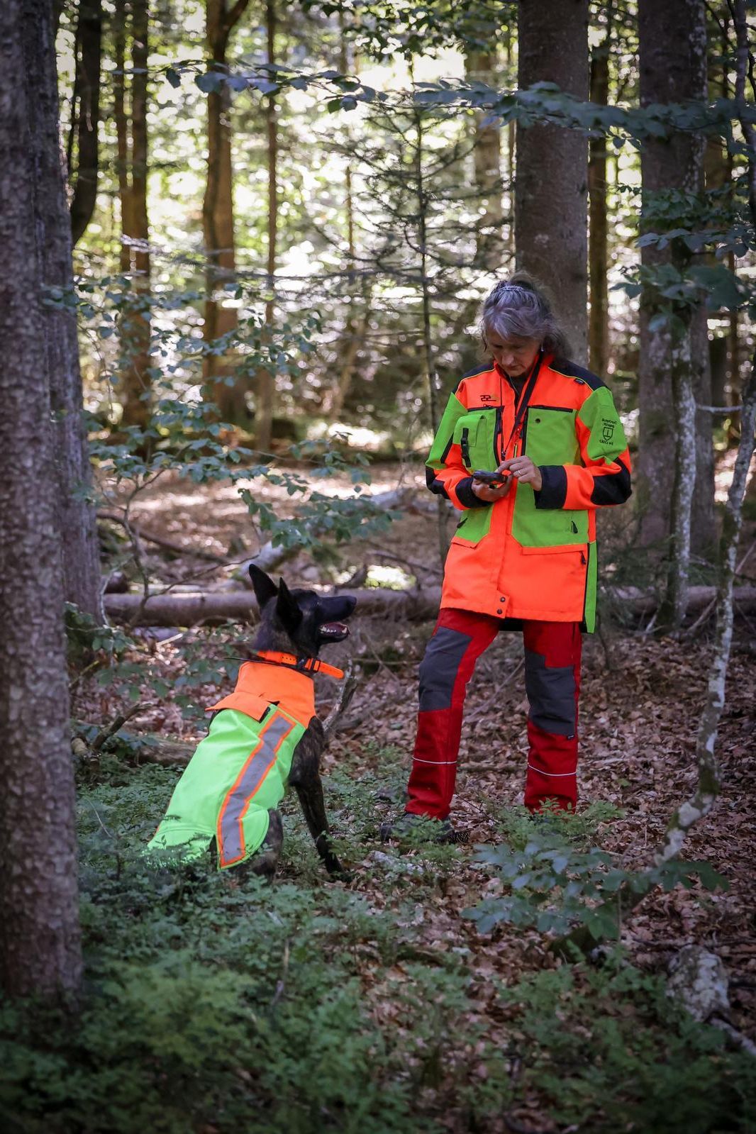 Jagdhundetraining im Gelände